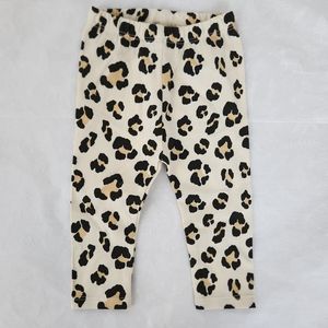 💕✨️NWT ZARA Baby girl leopard leggings 6-9 months